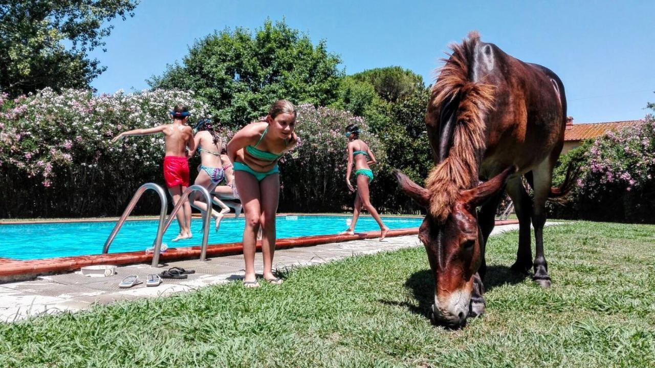 Farm stay Il Bottaccino Monsummano Terme